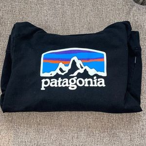 Patagonia Hoodie